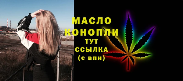 индика Богородицк